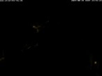 Archiv Foto Webcam Storchennest Bad Waldsee 23:00