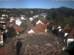 Archiv Foto Webcam Storchennest Bad Waldsee 16:00