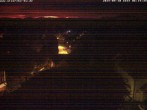 Archiv Foto Webcam Storchennest Bad Waldsee 03:00