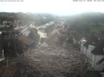 Archived image Webcam Stork&#39;s Nest Bad Waldsee 07:00