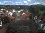 Archived image Webcam Stork&#39;s Nest Bad Waldsee 13:00