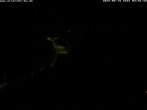 Archiv Foto Webcam Storchennest Bad Waldsee 03:00