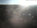 Archiv Foto Webcam Storchennest Bad Waldsee 07:00