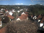 Archiv Foto Webcam Storchennest Bad Waldsee 15:00