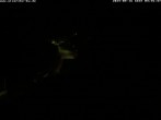 Archiv Foto Webcam Storchennest Bad Waldsee 03:00
