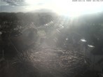 Archiv Foto Webcam Storchennest Bad Waldsee 07:00