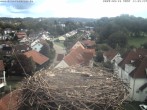 Archiv Foto Webcam Storchennest Bad Waldsee 10:00