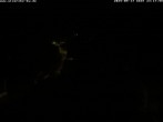 Archiv Foto Webcam Storchennest Bad Waldsee 23:00