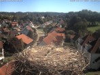 Archiv Foto Webcam Storchennest Bad Waldsee 11:00