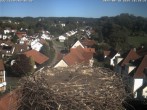 Archiv Foto Webcam Storchennest Bad Waldsee 15:00