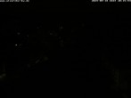 Archiv Foto Webcam Storchennest Bad Waldsee 19:00