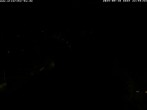 Archiv Foto Webcam Storchennest Bad Waldsee 23:00