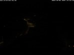 Archiv Foto Webcam Storchennest Bad Waldsee 23:00
