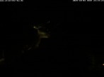 Archiv Foto Webcam Storchennest Bad Waldsee 23:00
