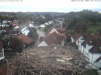 Archiv Foto Webcam Storchennest Bad Waldsee 07:00