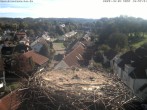 Archiv Foto Webcam Storchennest Bad Waldsee 09:00