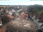 Archiv Foto Webcam Storchennest Bad Waldsee 11:00