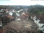 Archiv Foto Webcam Storchennest Bad Waldsee 15:00