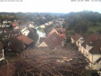 Archiv Foto Webcam Storchennest Bad Waldsee 17:00