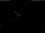 Archiv Foto Webcam Storchennest Bad Waldsee 23:00