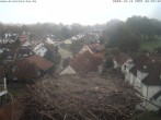 Archiv Foto Webcam Storchennest Bad Waldsee 07:00