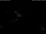 Archiv Foto Webcam Storchennest Bad Waldsee 19:00