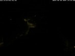 Archiv Foto Webcam Storchennest Bad Waldsee 23:00