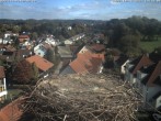 Archiv Foto Webcam Storchennest Bad Waldsee 13:00