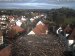 Archiv Foto Webcam Storchennest Bad Waldsee 15:00