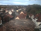 Archiv Foto Webcam Storchennest Bad Waldsee 18:00