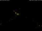 Archiv Foto Webcam Storchennest Bad Waldsee 23:00