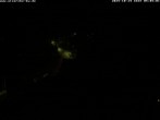Archiv Foto Webcam Storchennest Bad Waldsee 03:00