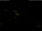 Archiv Foto Webcam Storchennest Bad Waldsee 23:00