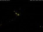 Archiv Foto Webcam Storchennest Bad Waldsee 03:00