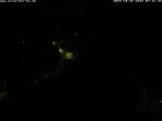 Archiv Foto Webcam Storchennest Bad Waldsee 06:00
