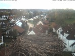 Archiv Foto Webcam Storchennest Bad Waldsee 07:00
