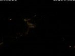Archiv Foto Webcam Storchennest Bad Waldsee 23:00