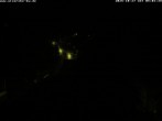 Archiv Foto Webcam Storchennest Bad Waldsee 03:00