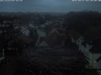 Archiv Foto Webcam Storchennest Bad Waldsee 05:00