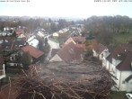 Archiv Foto Webcam Storchennest Bad Waldsee 06:00