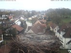 Archiv Foto Webcam Storchennest Bad Waldsee 07:00
