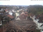 Archiv Foto Webcam Storchennest Bad Waldsee 06:00