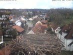 Archiv Foto Webcam Storchennest Bad Waldsee 09:00