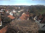 Archiv Foto Webcam Storchennest Bad Waldsee 11:00