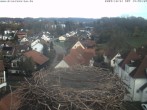 Archiv Foto Webcam Storchennest Bad Waldsee 13:00