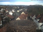 Archiv Foto Webcam Storchennest Bad Waldsee 15:00