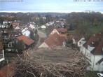 Archiv Foto Webcam Storchennest Bad Waldsee 13:00