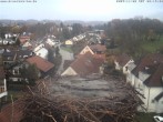 Archiv Foto Webcam Storchennest Bad Waldsee 07:00