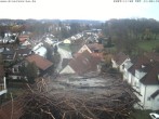 Archiv Foto Webcam Storchennest Bad Waldsee 09:00