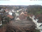 Archiv Foto Webcam Storchennest Bad Waldsee 13:00